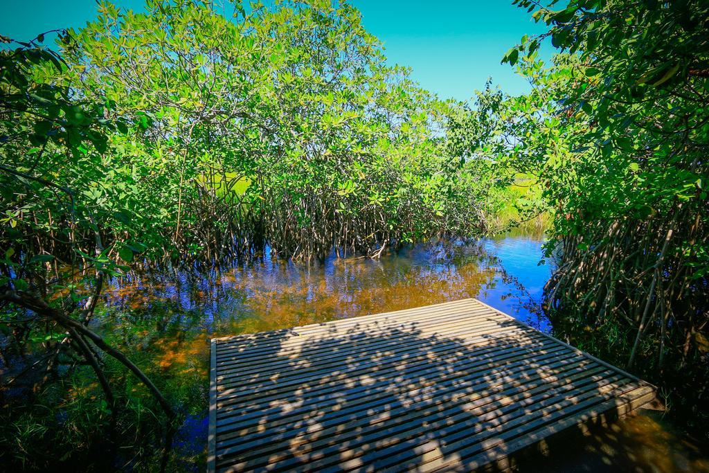 Pousada Ecologica Bangalo De Praia Itacimirim Pokój zdjęcie