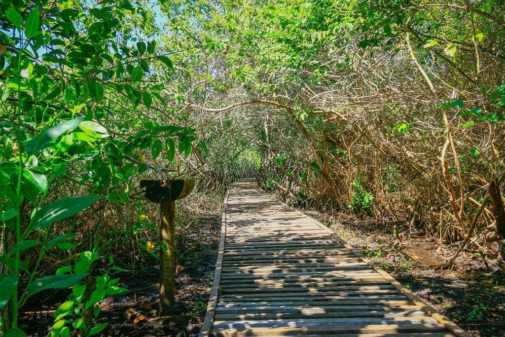 Pousada Ecologica Bangalo De Praia Itacimirim Pokój zdjęcie